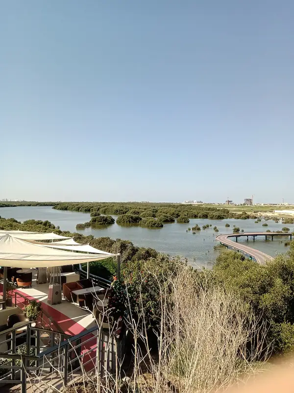 Mangrove swamps at Al Zorah Ajman