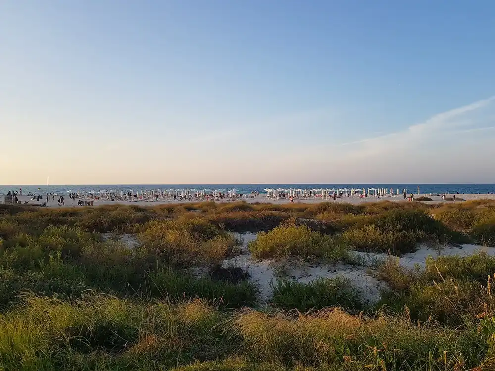 Saadiyat Beach Abu Dhabi — white sand evening